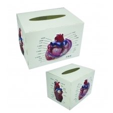 Chusteczki higieniczne - pudełko anatomiczne